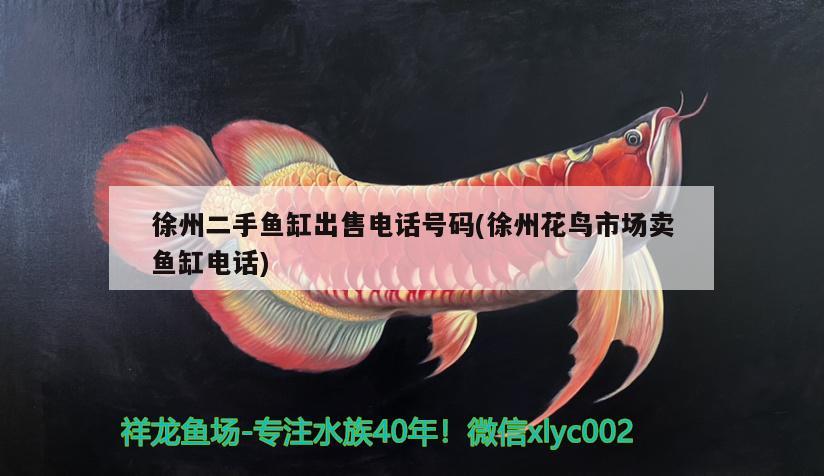 徐州二手鱼缸出售电话号码(徐州花鸟市场卖鱼缸电话)