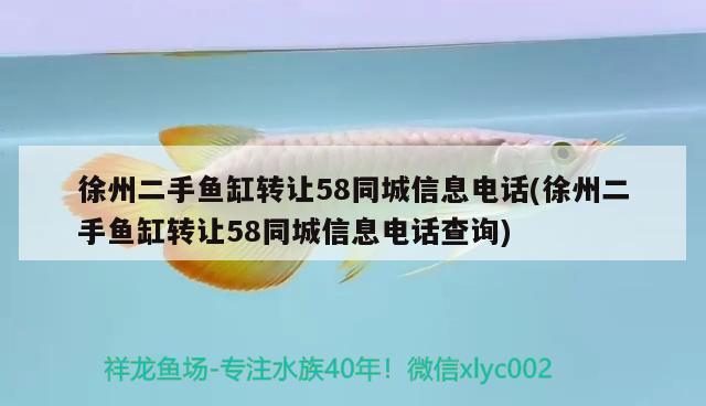 徐州二手鱼缸转让58同城信息电话(徐州二手鱼缸转让58同城信息电话查询)