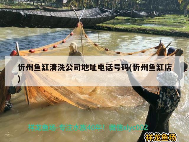 忻州鱼缸清洗公司地址电话号码(忻州鱼缸店) 养鱼知识