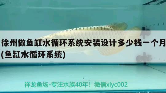 徐州做鱼缸水循环系统安装设计多少钱一个月(鱼缸水循环系统)
