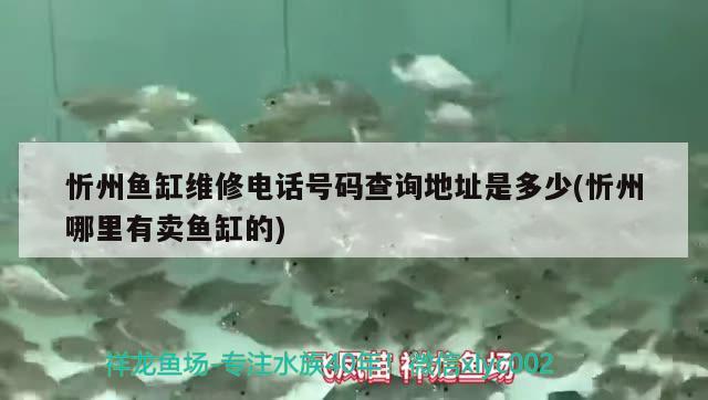 忻州鱼缸维修电话号码查询地址是多少(忻州哪里有卖鱼缸的)