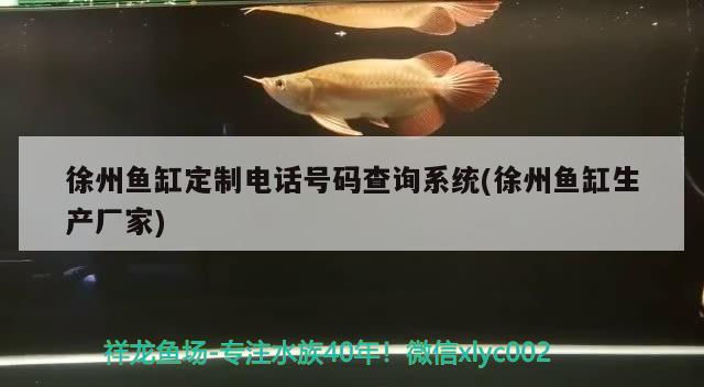 徐州鱼缸定制电话号码查询系统(徐州鱼缸生产厂家)