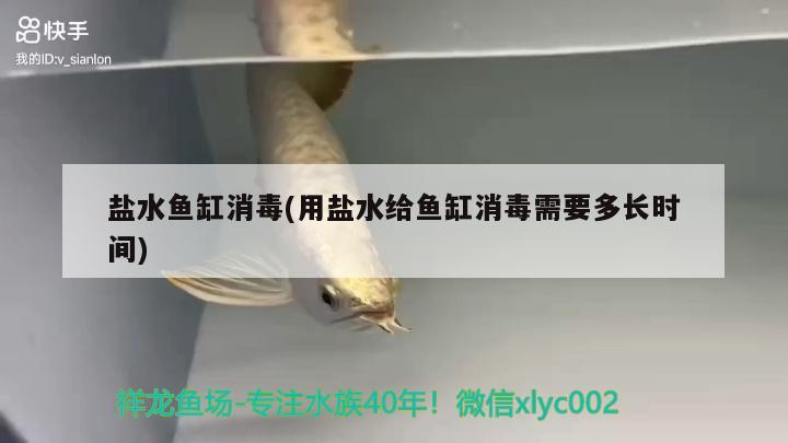 盐水鱼缸消毒(用盐水给鱼缸消毒需要多长时间) 广州祥龙国际水族贸易