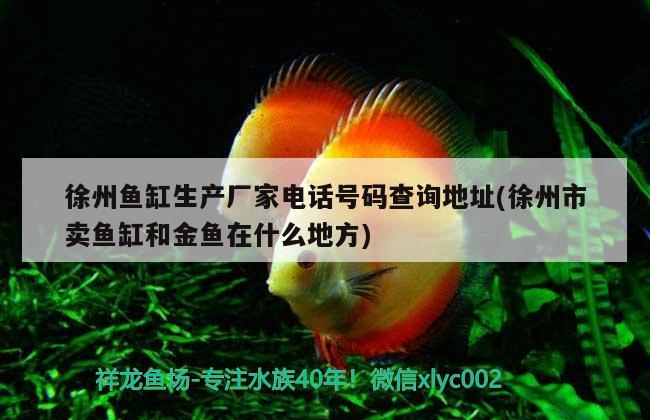 徐州鱼缸生产厂家电话号码查询地址(徐州市卖鱼缸和金鱼在什么地方)