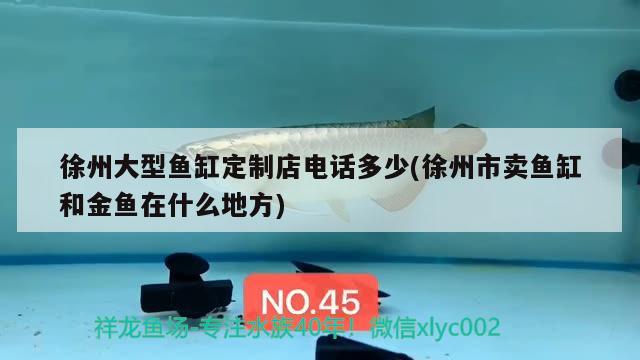 徐州大型鱼缸定制店电话多少(徐州市卖鱼缸和金鱼在什么地方)