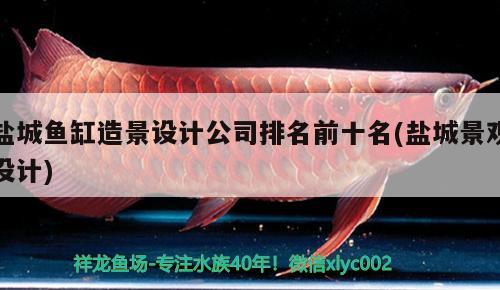 盐城鱼缸造景设计公司排名前十名(盐城景观设计) 广州景观设计