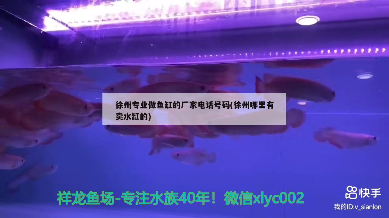 徐州专业做鱼缸的厂家电话号码(徐州哪里有卖水缸的)