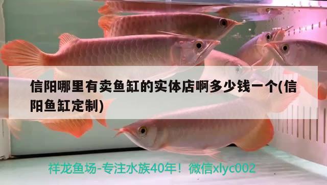 信阳哪里有卖鱼缸的实体店啊多少钱一个(信阳鱼缸定制) 广州观赏鱼批发市场