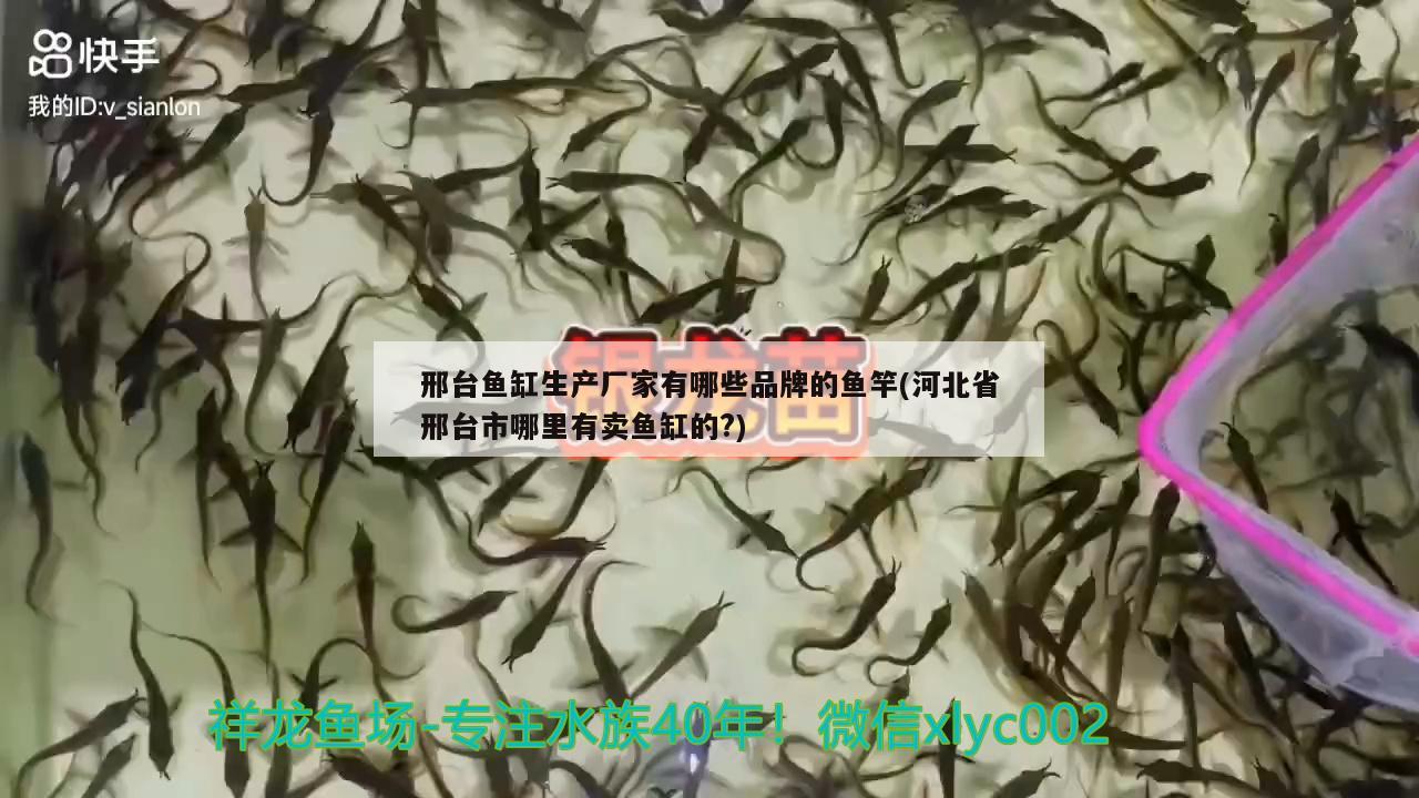 邢台鱼缸生产厂家有哪些品牌的鱼竿(河北省邢台市哪里有卖鱼缸的?) 垂钓乐园
