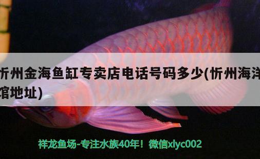 忻州金海鱼缸专卖店电话号码多少(忻州海洋馆地址)