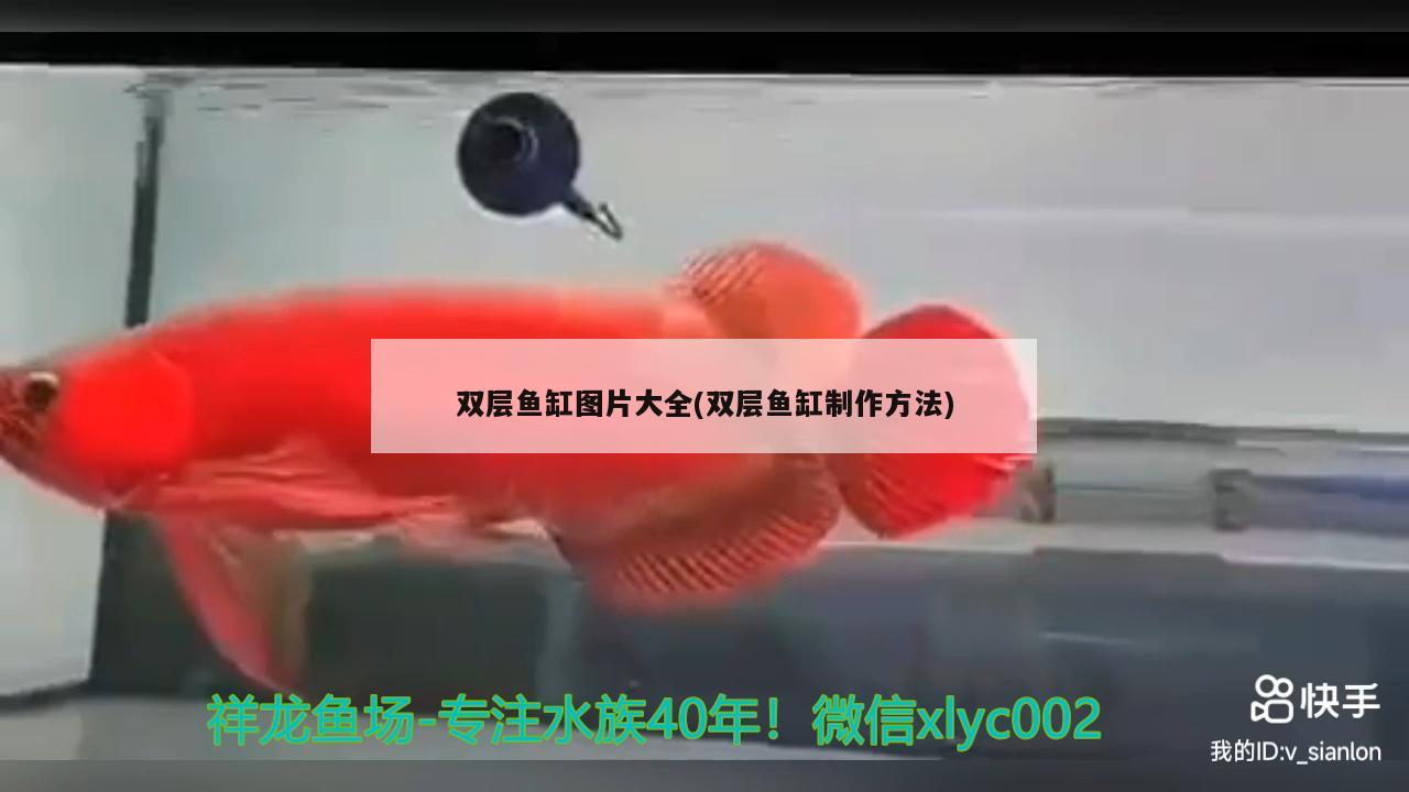 双层鱼缸图片大全(双层鱼缸制作方法) 广州水族器材滤材批发市场