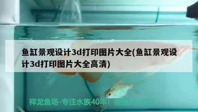 鱼缸景观设计3d打印图片大全(鱼缸景观设计3d打印图片大全高清) 广州景观设计