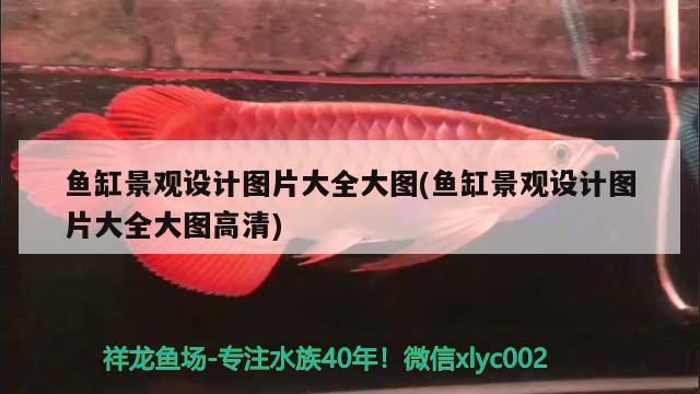鱼缸景观设计图片大全大图(鱼缸景观设计图片大全大图高清) 广州景观设计