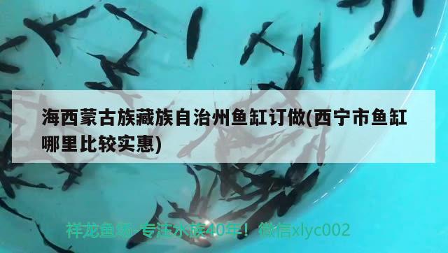海西蒙古族藏族自治州鱼缸订做(西宁市鱼缸哪里比较实惠) 其他品牌鱼缸