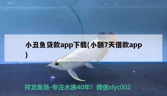 小丑鱼贷款app下载(小额7天借款app)