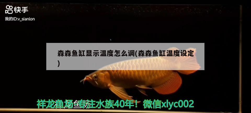 森森鱼缸显示温度怎么调(森森鱼缸温度设定) 红尾平克鱼