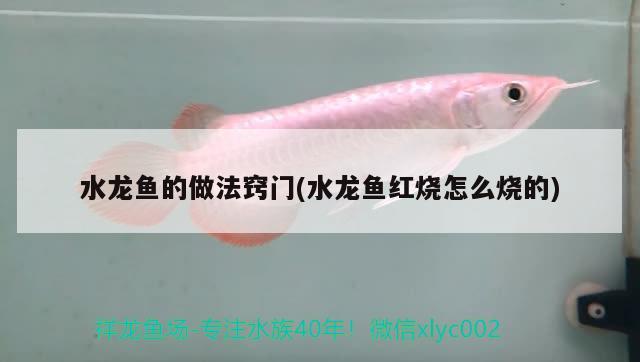 水龙鱼的做法窍门(水龙鱼红烧怎么烧的) 红龙专用鱼粮饲料