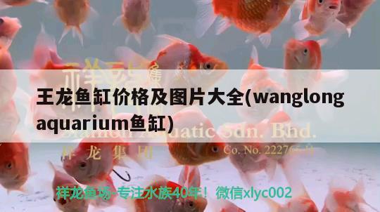 王龙鱼缸价格及图片大全(wanglongaquarium鱼缸)