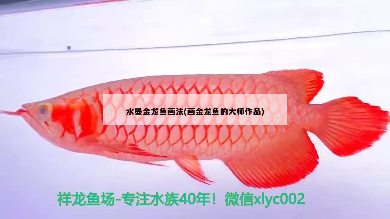 水墨金龙鱼画法(画金龙鱼的大师作品) 国产元宝凤凰鱼
