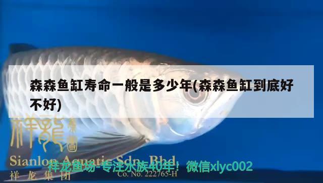森森鱼缸寿命一般是多少年(森森鱼缸到底好不好) 飞凤鱼