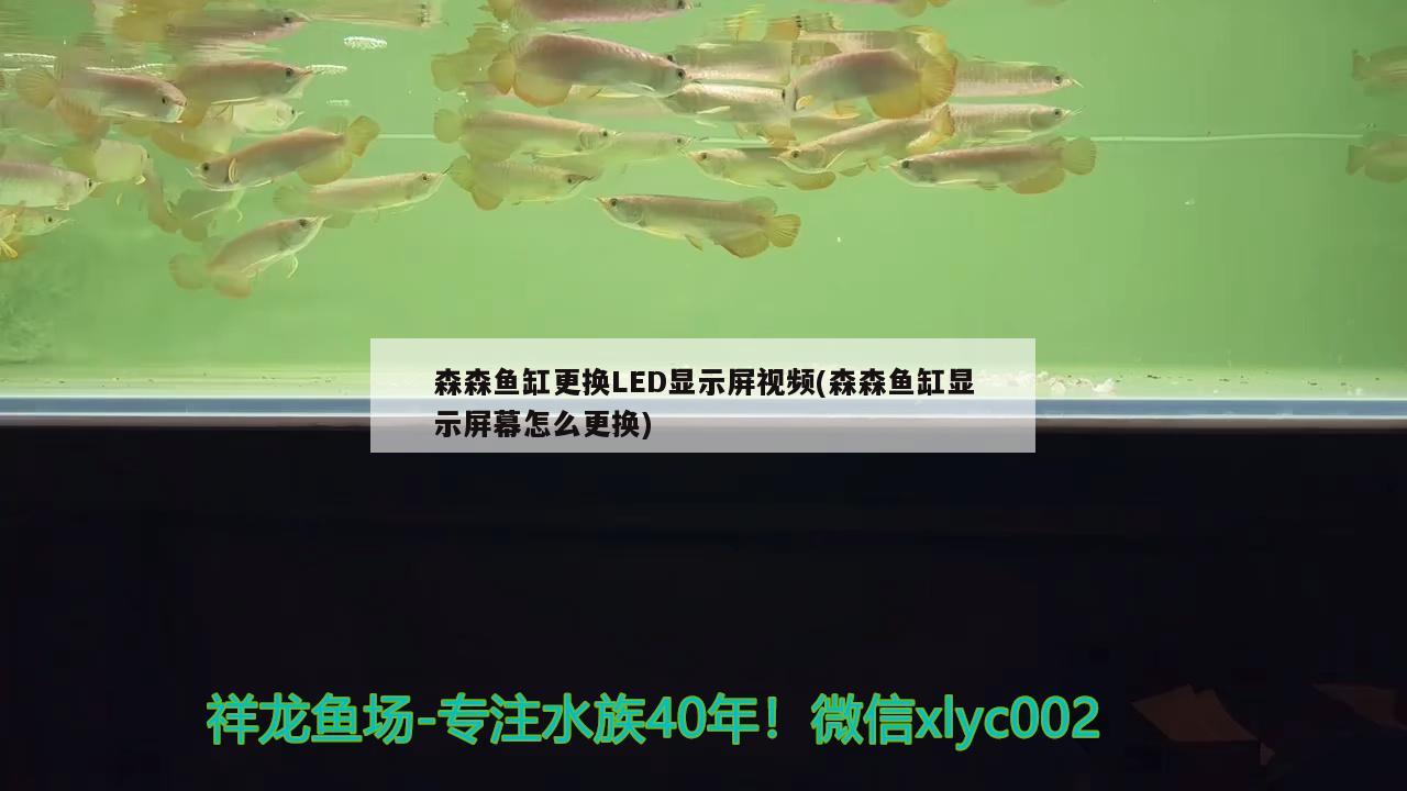 森森鱼缸更换LED显示屏视频(森森鱼缸显示屏幕怎么更换)