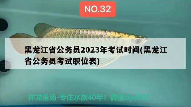 黑龙江省公务员2023年考试时间(黑龙江省公务员考试职位表) 观赏鱼