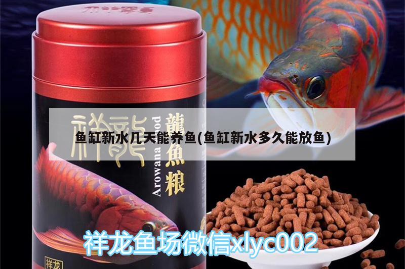 鱼缸新水几天能养鱼(鱼缸新水多久能放鱼) 二氧化碳设备