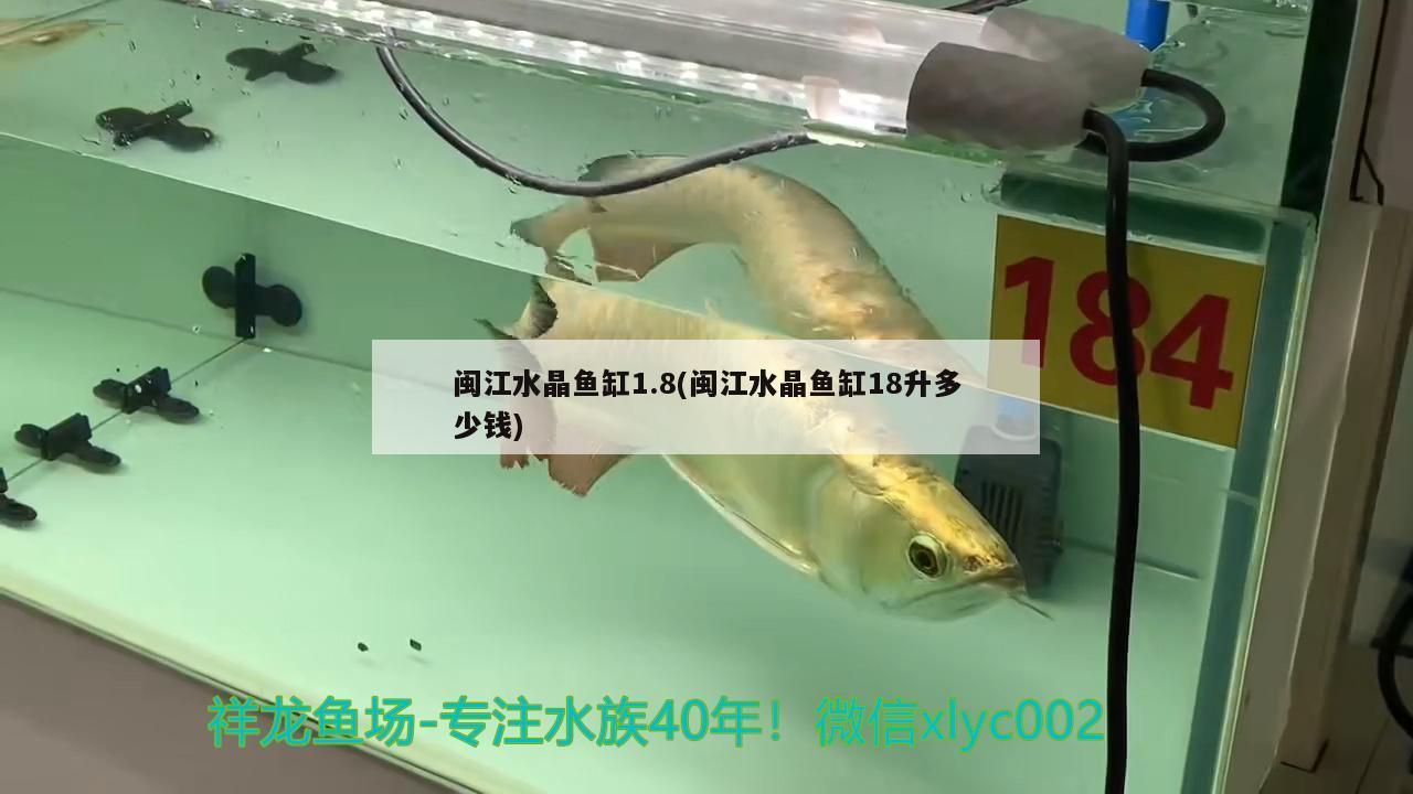 闽江水晶鱼缸1.8(闽江水晶鱼缸18升多少钱)