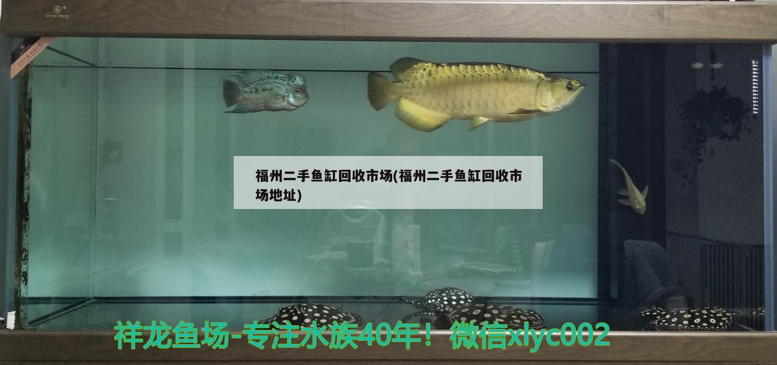 福州二手鱼缸回收市场(福州二手鱼缸回收市场地址)