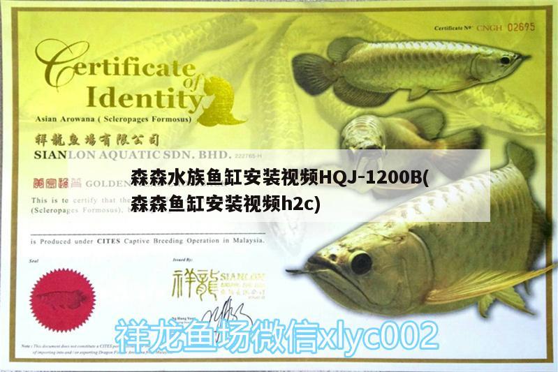 森森水族鱼缸安装视频HQJ-1200B(森森鱼缸安装视频h2c)