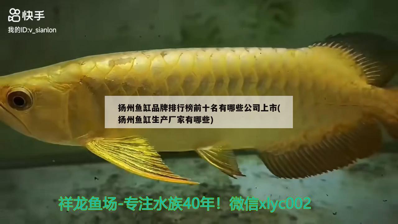 扬州鱼缸品牌排行榜前十名有哪些公司上市(扬州鱼缸生产厂家有哪些)