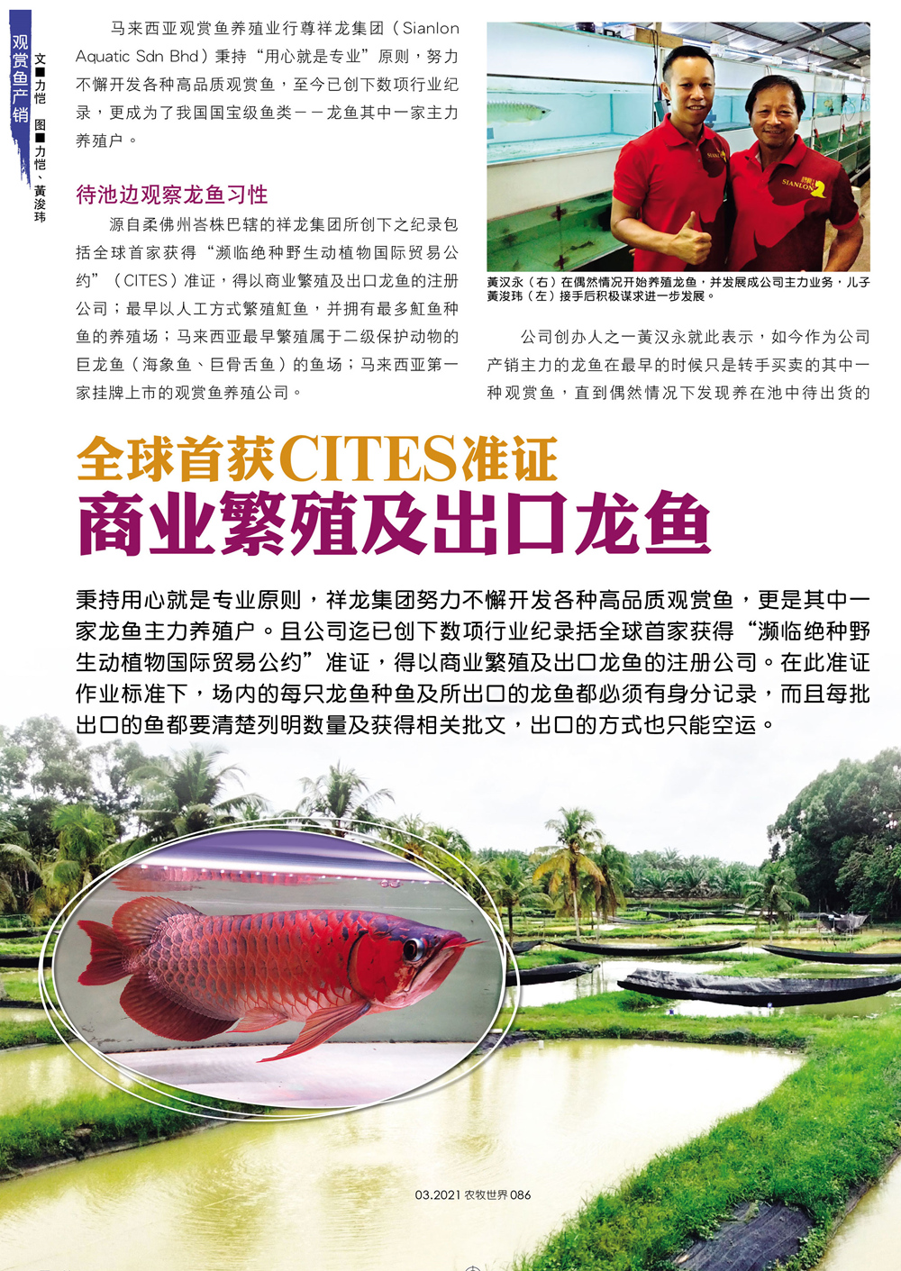 马来西亚第一家繁殖龙鱼企业（祥龙鱼场）